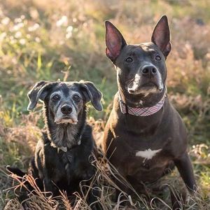 Meet your Posher, Traci